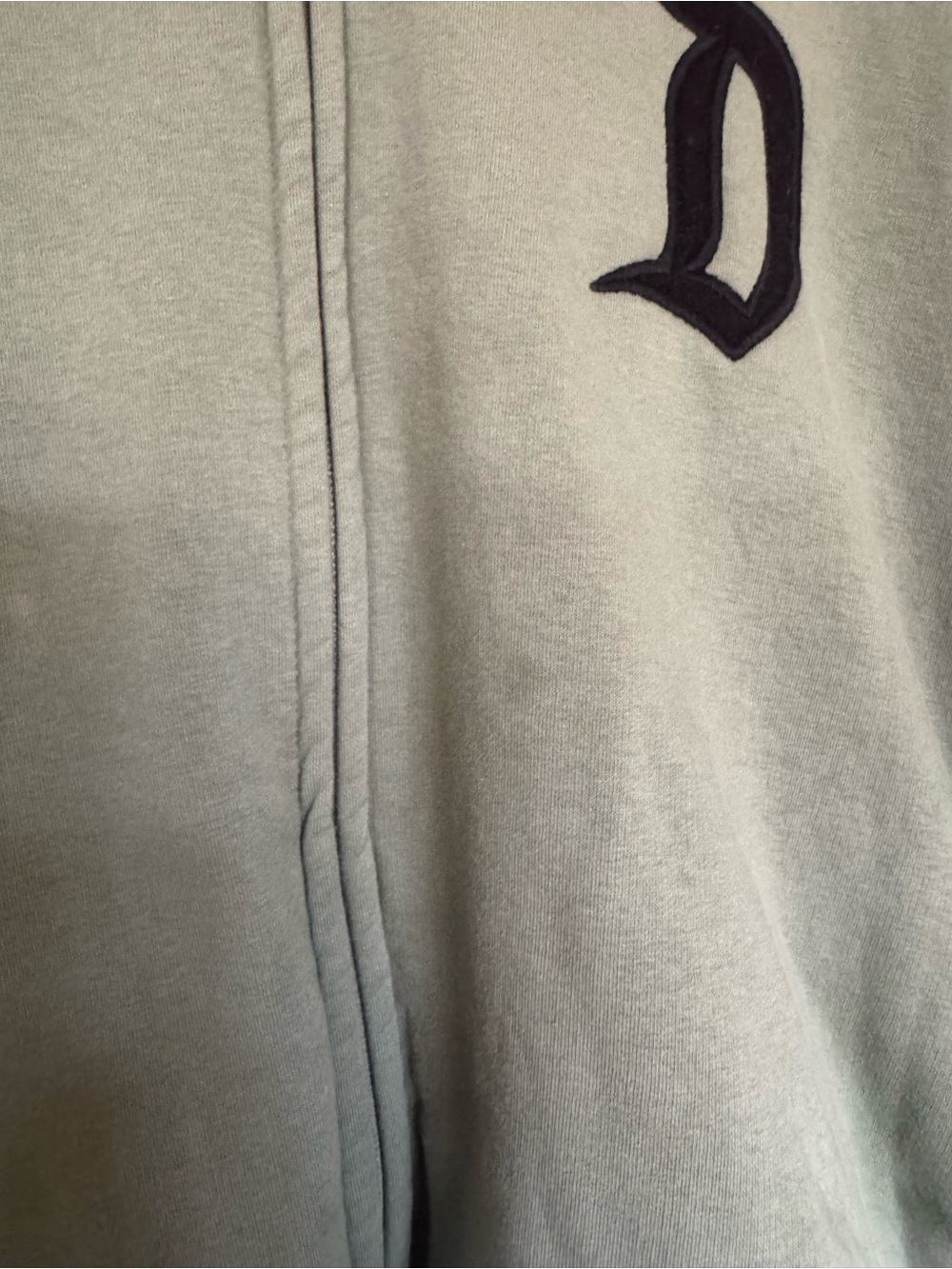 Disney Sage Green Hoodie - Picture 4 of 13